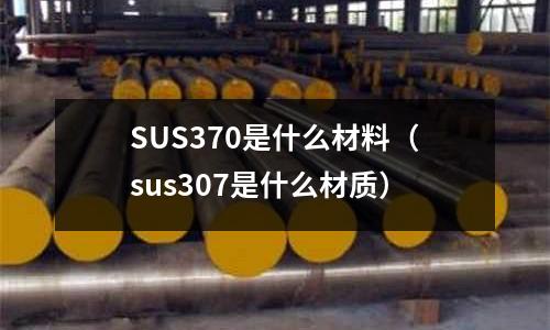 SUS370是什么材料（sus307是什么材質）
