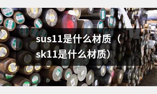 sus11是什么材質（sk11是什么材質）