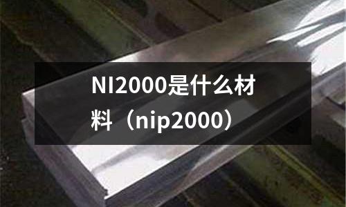 NI2000是什么材料（nip2000）